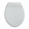 Twyford Option Oval Toilet Seat With Stainless Steel Bottom Fix Hinges 1 Twyford Option Oval Toilet Seat With Stainless Steel Bottom Fix Hinges -Bathroom Supplies Sales 2024 4887d6f5 da59 4d0c bb1a 2a8ace028d2d